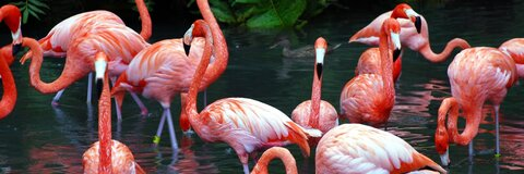 Immagine dell'intestazione OnlyFans lunalya