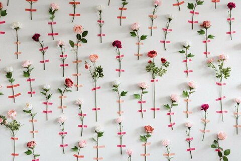 Image d'en-tête OnlyFans lunasophia_