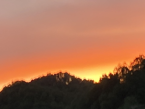 صورة رأس OnlyFans lydmama