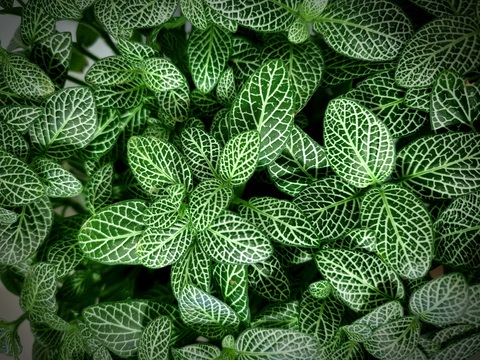 Снимка на заглавието на OnlyFans madalynnraye