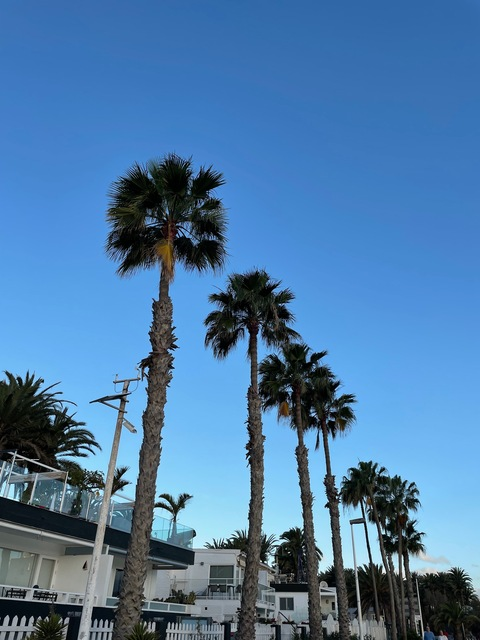 OnlyFansのヘッダー画像 maddietagg