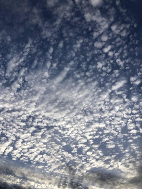 Foto de cabeçalho do OnlyFans maddy199x