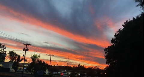 OnlyFans Header Bild madilynn1