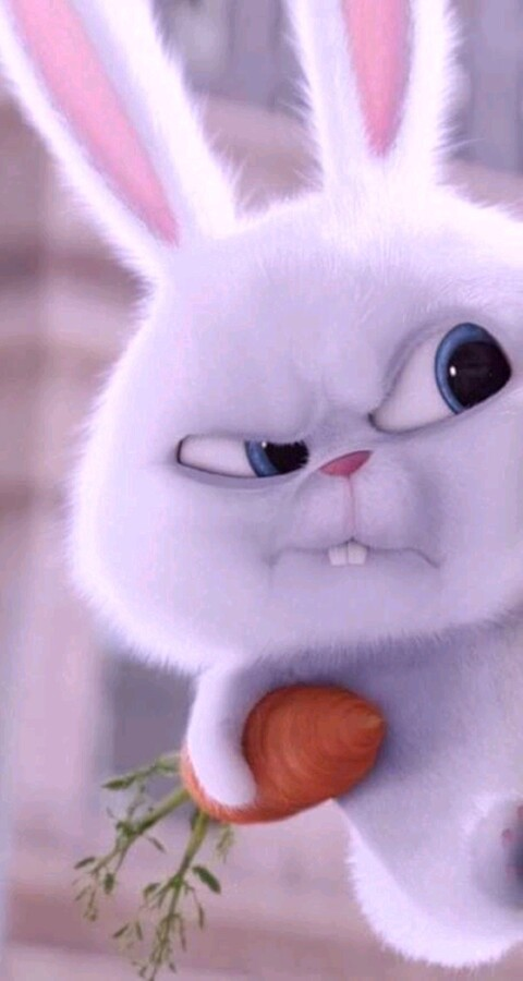 OnlyFans header picture mamaciitta