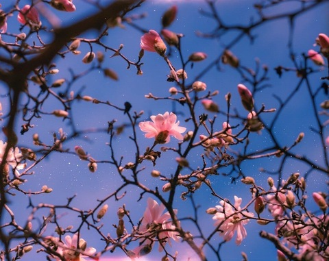 Gambar header OnlyFans mariannan