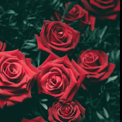 Снимка на заглавието на OnlyFans mariehelen