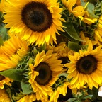 ओन्लीफैंस प्रोफ़ाइल तस्वीर maurishka