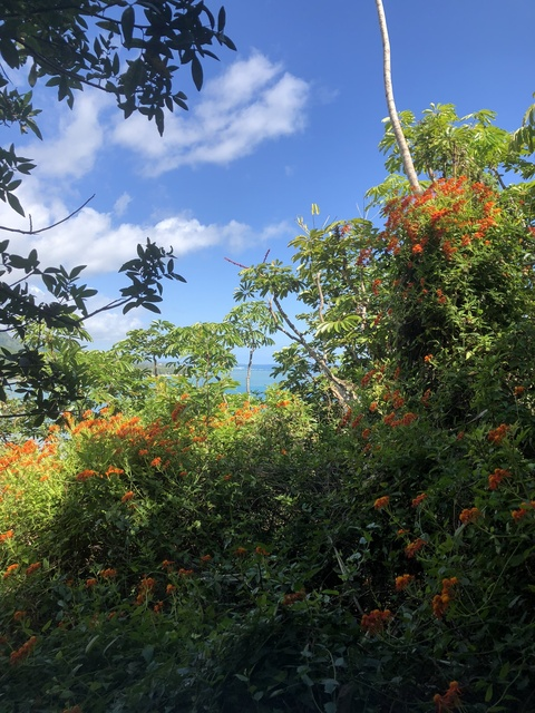 OnlyFans Header Bild mayyouneverfindout