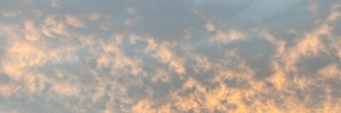 Immagine dell'intestazione OnlyFans mdwinna