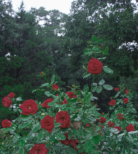 OnlyFansのヘッダー画像 mekennah