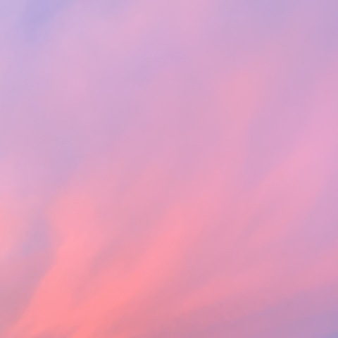 صورة رأس OnlyFans melonzz