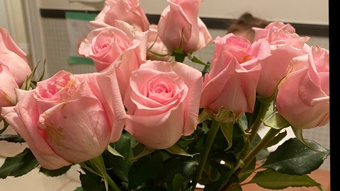 Foto de cabeçalho do OnlyFans meowthaliaa