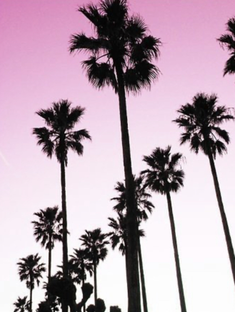 Immagine dell'intestazione OnlyFans mickystrumia