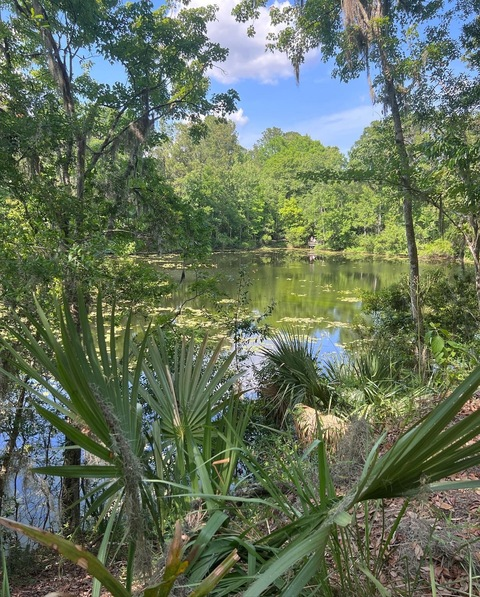 OnlyFans Header Bild midgetbtch