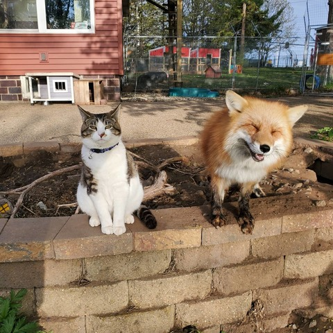 OnlyFans Header Bild mikaylarainesfans