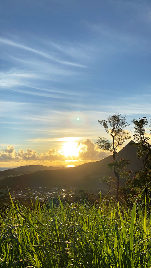 OnlyFans Header Bild minniemichelevip