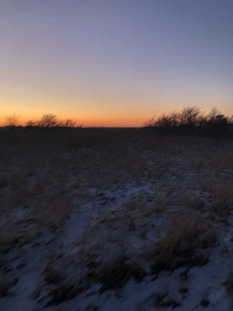 Image d'en-tête OnlyFans miss_vintagebetty