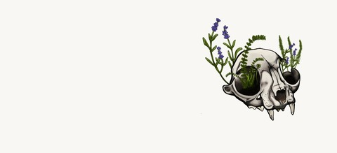 Картинка шапки OnlyFans misskenzied