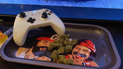 OnlyFans Header Bild mixedtwinx