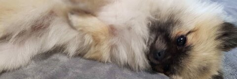 OnlyFansのヘッダー画像 mizzimie