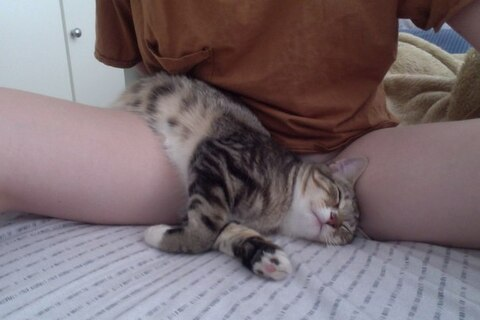 오직 팬들만 볼 수 있는 mjgreencat의 헤더 사진