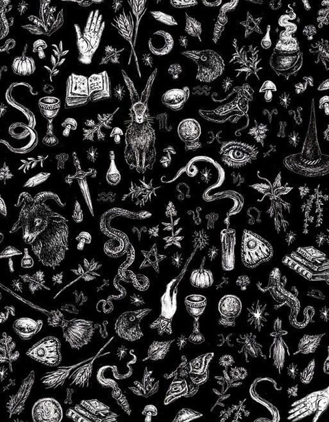 Immagine dell'intestazione OnlyFans moana__lisa