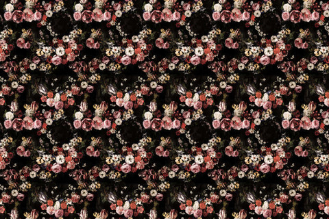 OnlyFans हेडर चित्र moiosu