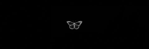 Imagen de encabezado de OnlyFans de monetesque