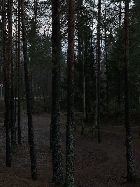 오직 팬들만 볼 수 있는 monika_mil_z의 헤더 사진