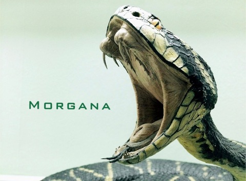 OnlyFans Header Bild morganafire21