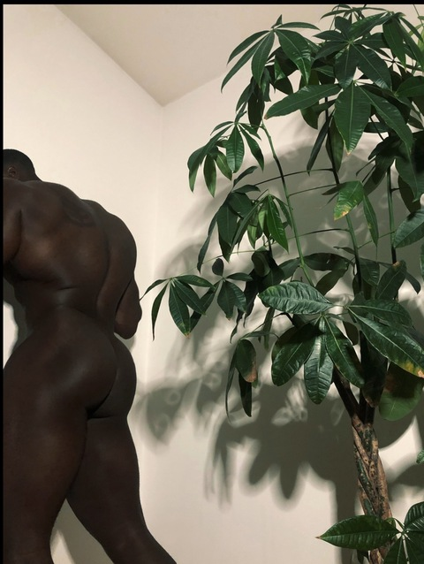 صورة رأس OnlyFans mrknedy