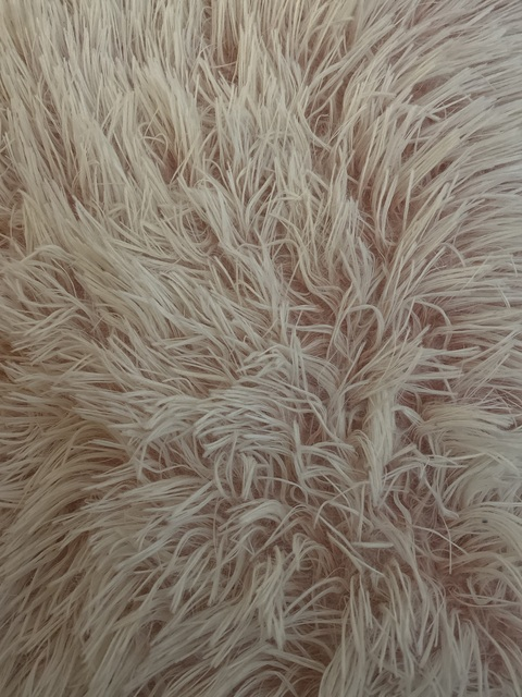 Imagen de encabezado de OnlyFans de ms_annabella