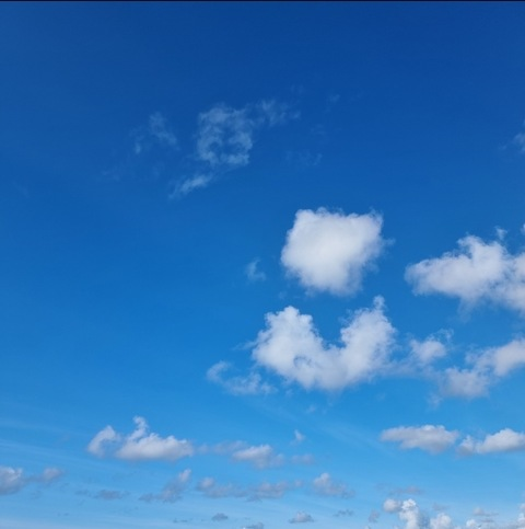 Image d'en-tête OnlyFans mw_free