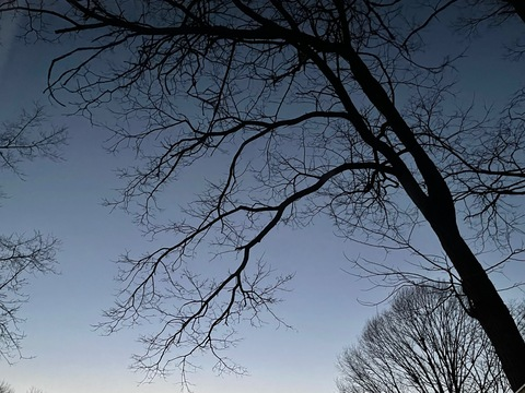 Gambar header OnlyFans myonlyadventurez