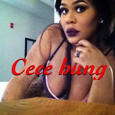 OnlyFans हेडर चित्र mz_cece_hung