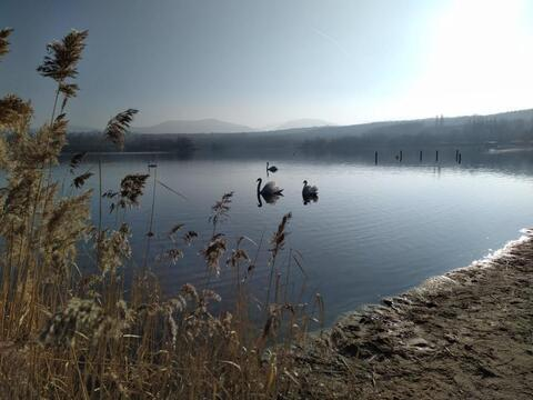 صورة رأس OnlyFans nadine22