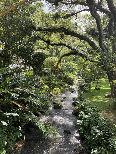 Imagen de encabezado de OnlyFans de namaste.me