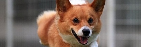 오직 팬들만 볼 수 있는 natsugamisummer의 헤더 사진