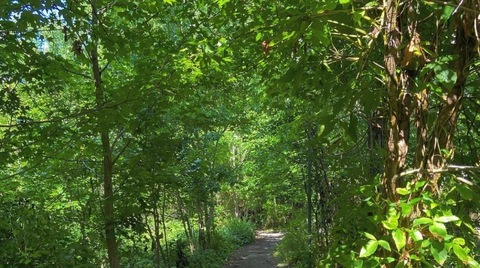 오직 팬들만 볼 수 있는 naturabody의 헤더 사진