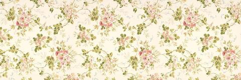 OnlyFans हेडर चित्र naughtykathie