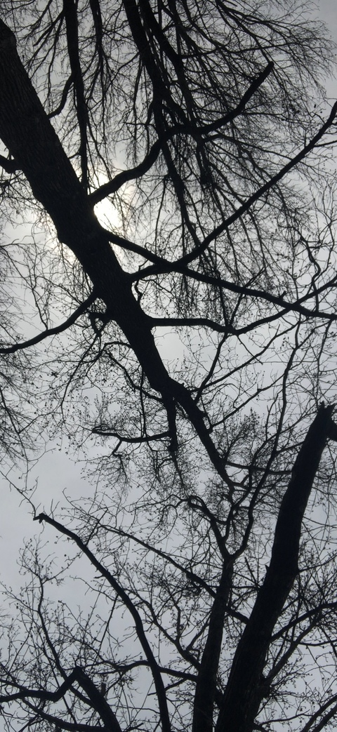 오직 팬들만 볼 수 있는 ndblair의 헤더 사진