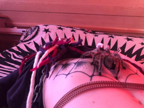 Картинка шапки OnlyFans nickaitol