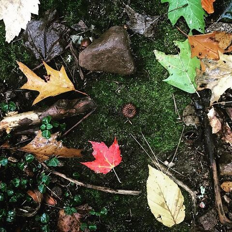 오직 팬들만 볼 수 있는 nixdoestricks의 헤더 사진