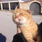 ओन्लीफैंस प्रोफ़ाइल तस्वीर notlola