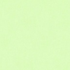 Foto del profilo OnlyFans di noworriesmylove