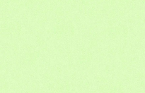 Immagine dell'intestazione OnlyFans noworriesmylove