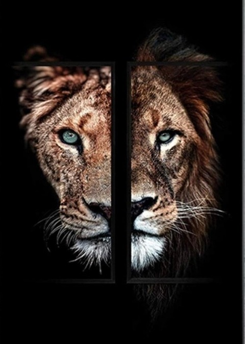 Снимка на заглавието на OnlyFans nylalion