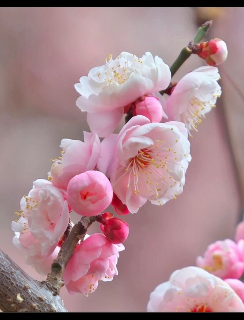 Снимка на заглавието на OnlyFans oky.lucy