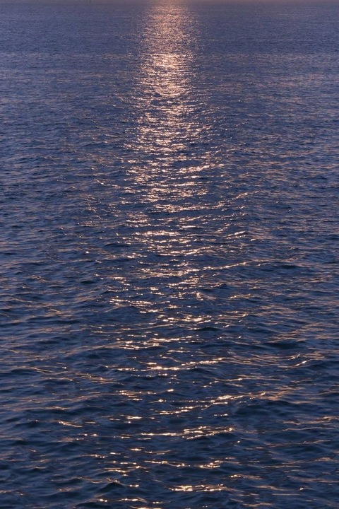 OnlyFans Header Bild omaimaa.b