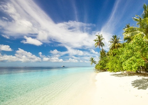 OnlyFansのヘッダー画像 pabloescobone